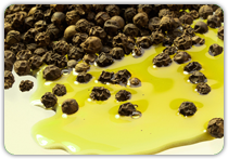 INGRÉDIENTS LUTETIA